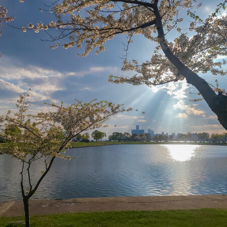 Belle Isle In The Spring