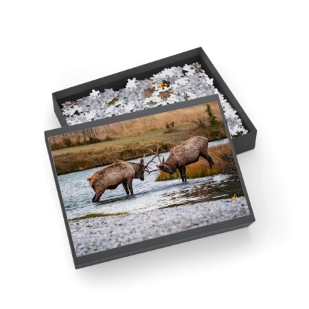 Two Moose Battling In Banff National Park Jigsaw Puzzle